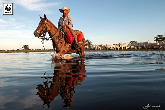 WWF-Brasil promove exposição sobre o Pantanal | WWF Brasil