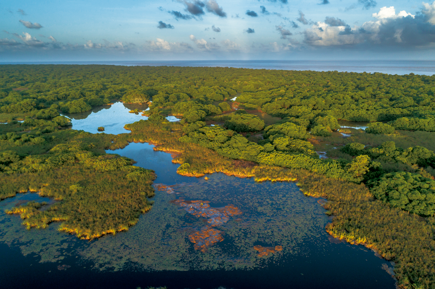 Amazônia: Vista de drone das lagoas de água salgada no sul da Ilha de Maracá, Estação Ecológica Maracá-Jipioca – Amapá