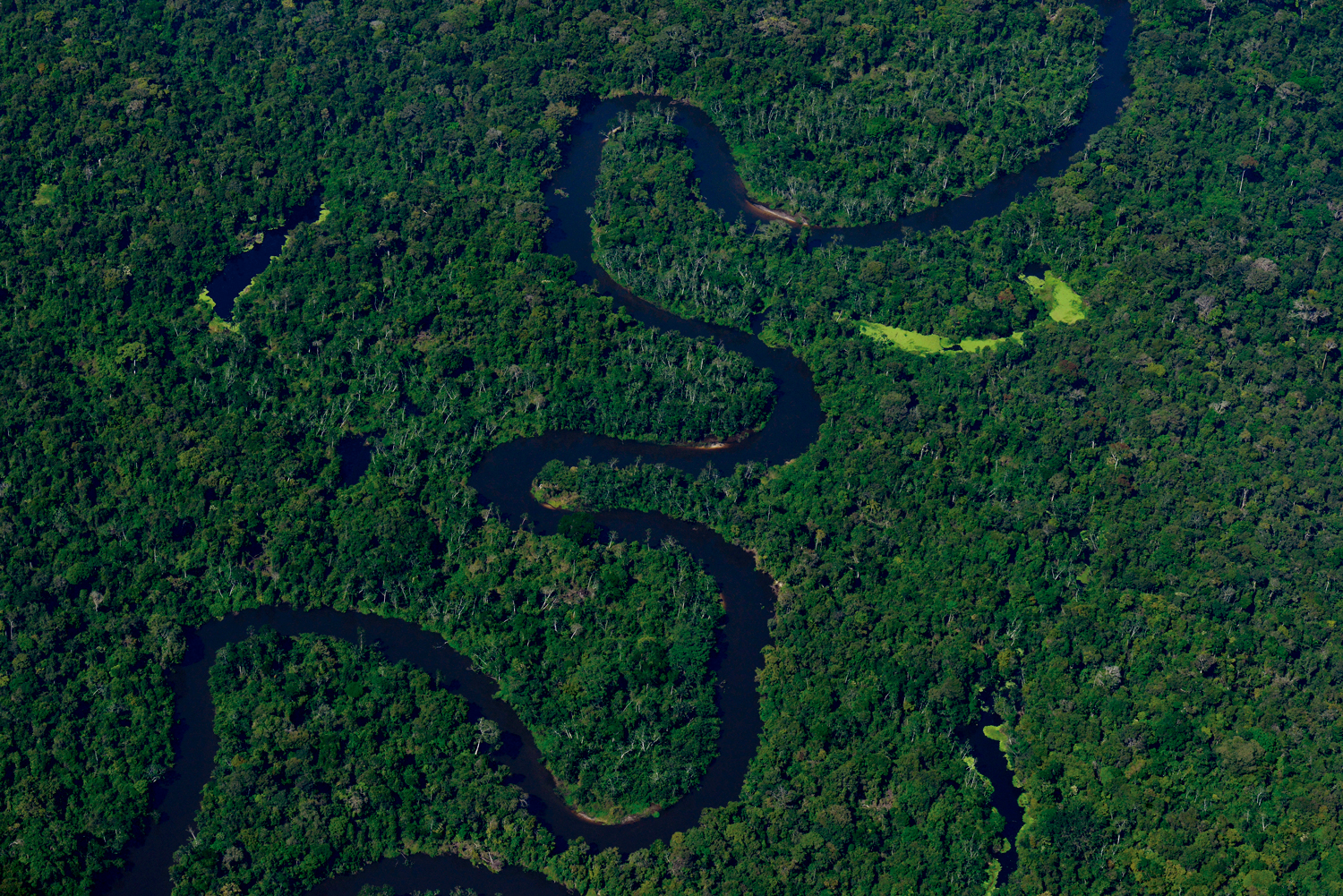 Amazônia: Rio São João da Barra – Amazonas