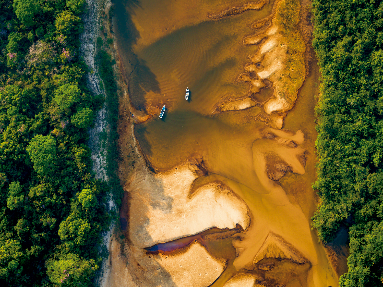 Dunas, Manguezais e Caatinga: Vista aérea de um barco subindo o rio Cocó, Parque Estadual do Cocó, em Fortaleza - Ceará