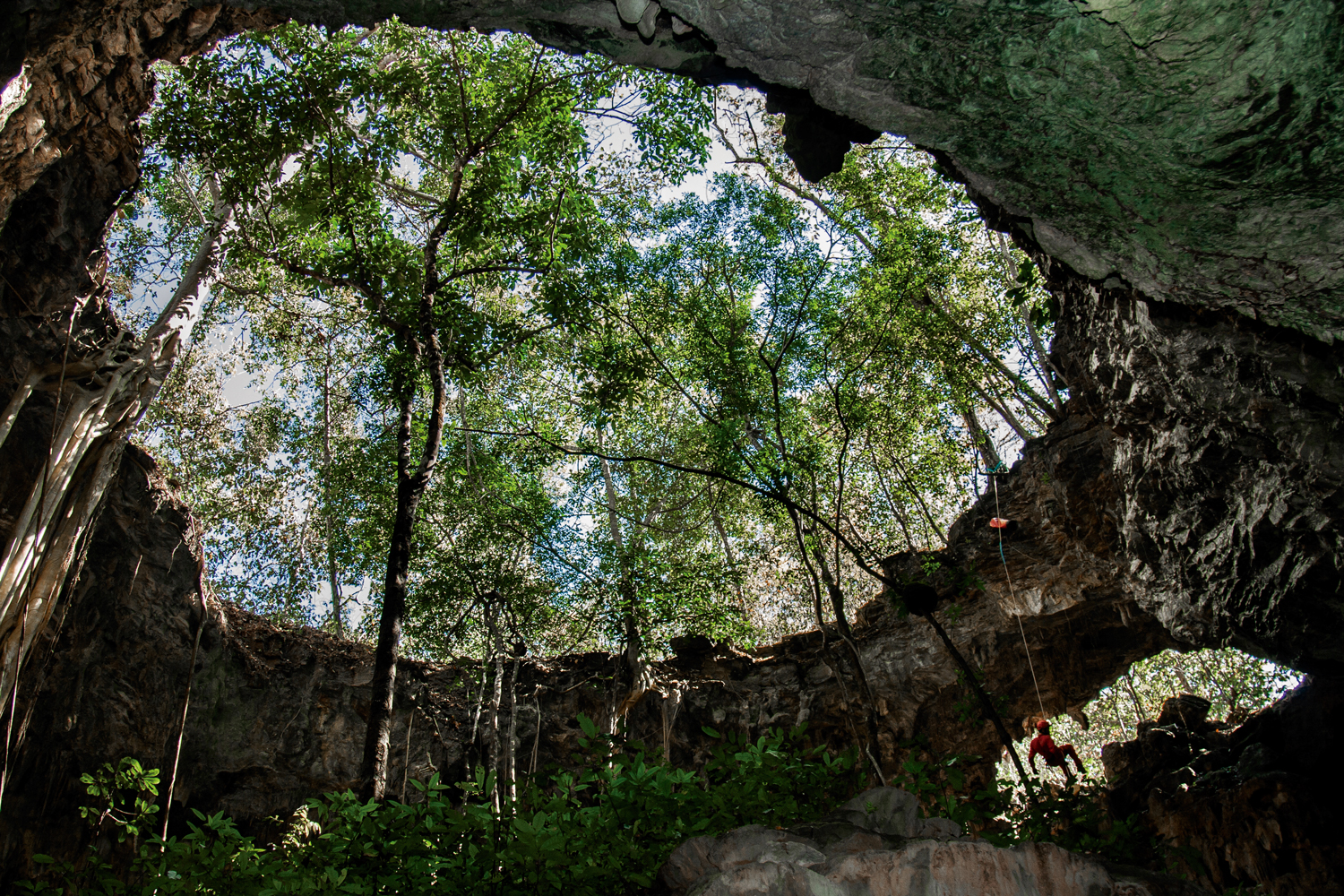 Cerrado: Parque Estadual Gruta da Lagoa Azul, Nobres – Mato Grosso