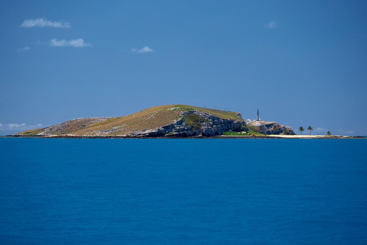 Litoral: Parque Nacional Marinho do Brasil, arquipélago dos Abrolhos – Bahia