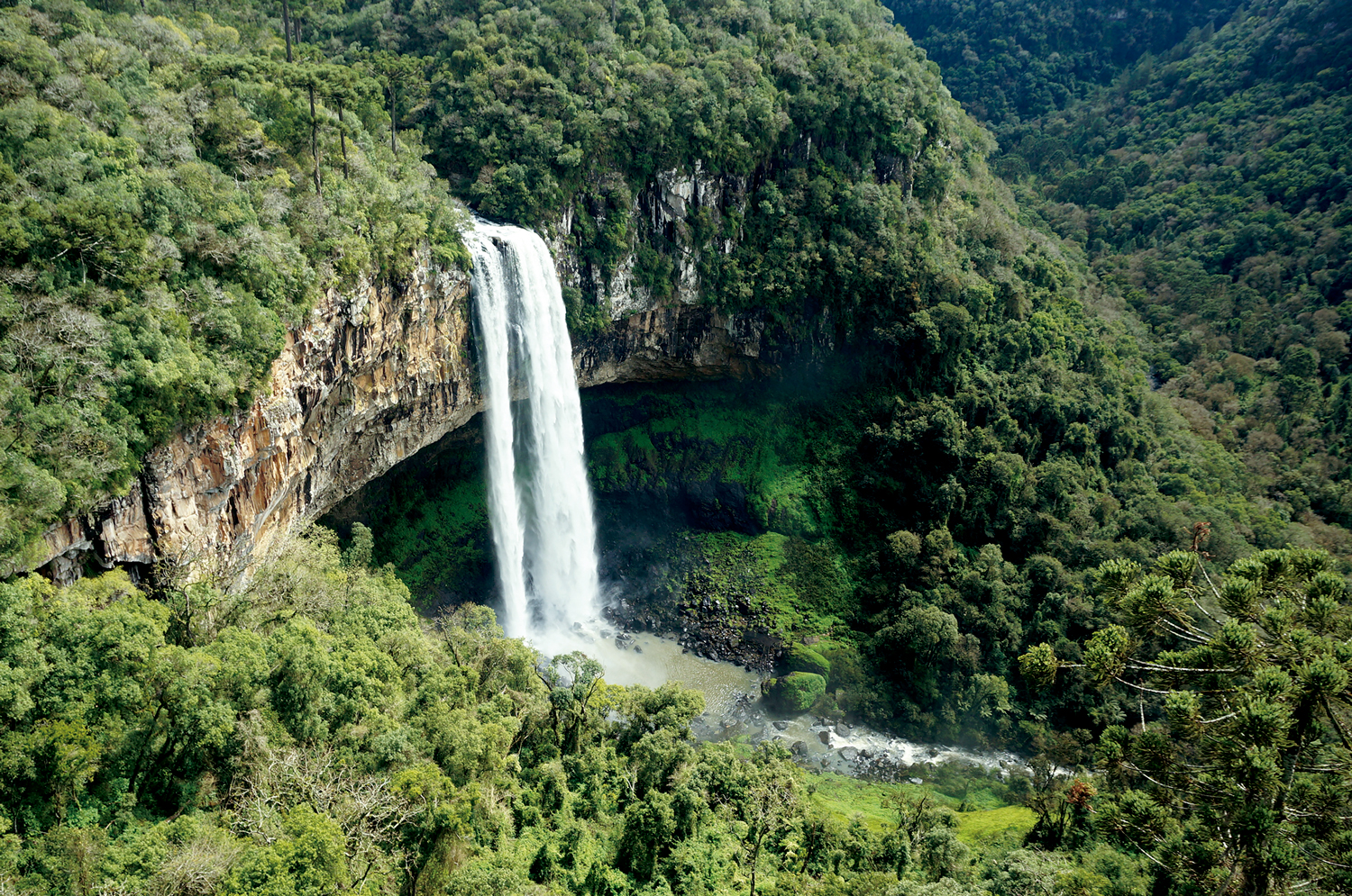 Mata Atlântica: Cascata do Caracol, nos Parques da Serra, em Canela - Rio Grande do Sul