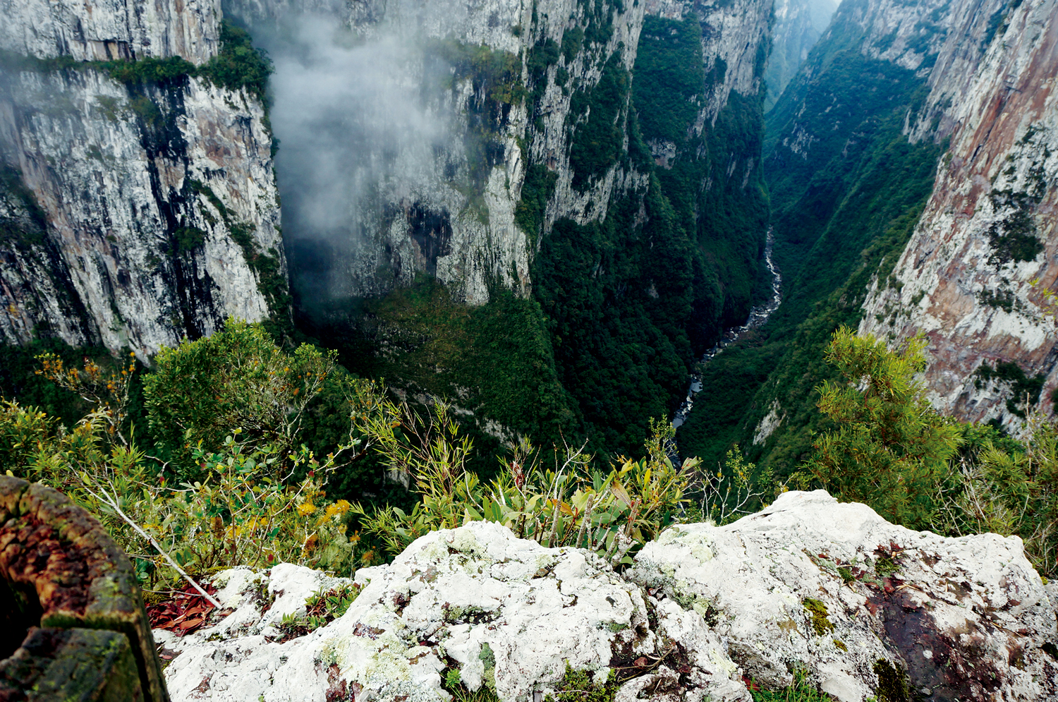 Pampas Gaúchos, Mata Atlântica e Florestas de Araucárias: Cânion Itaimbezinho no Parque Nacional Aparados da Serra, em Cambará do Sul - Rio Grande do Sul