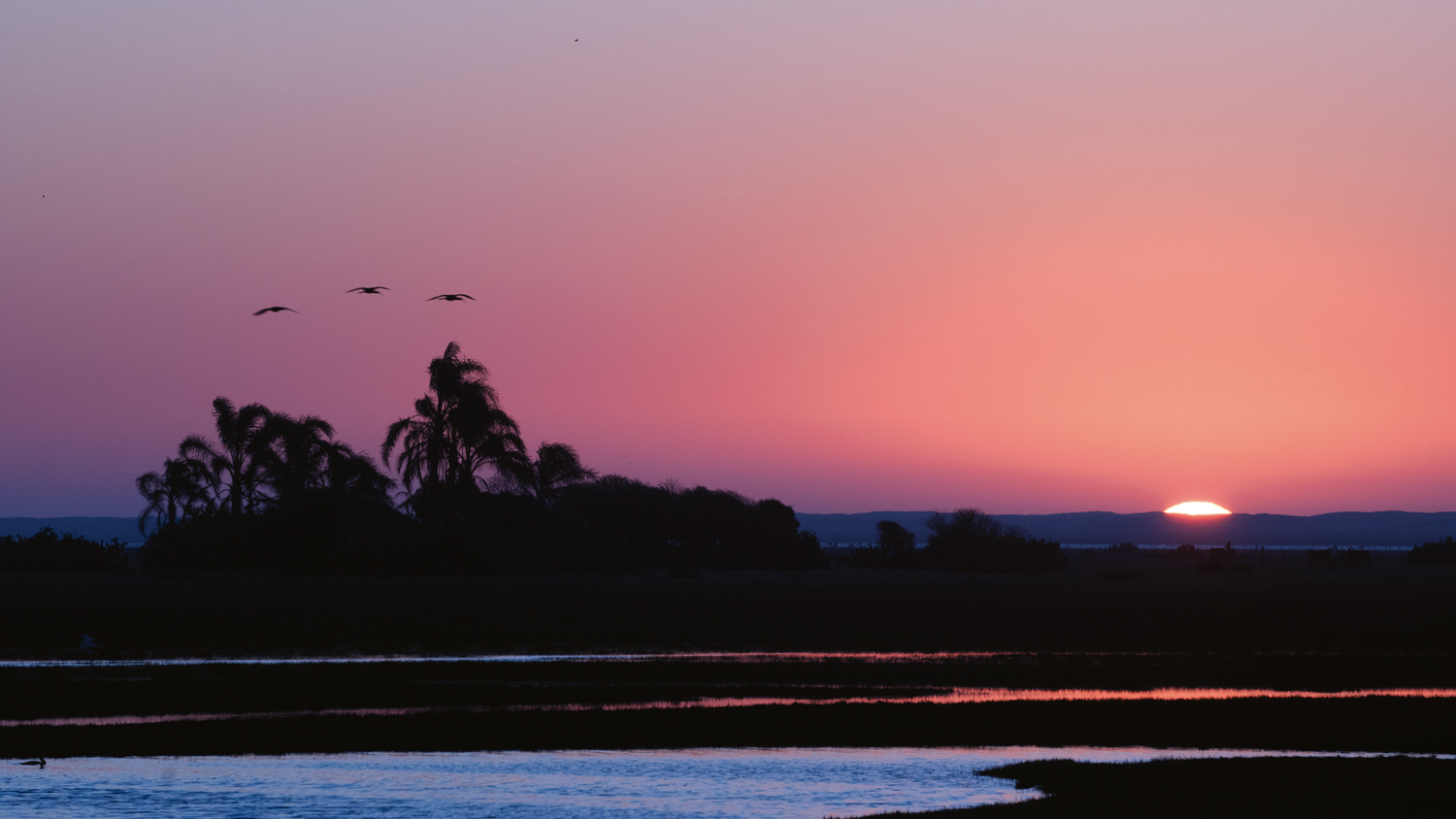 Pampas: Parque Nacional da Lagoa do Peixe, em Tavares - Rio Grande do Sul