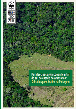 Capa do livro Perfil socioeconômico e ambiental
do sul do estado do Amazonas: subsídios para análise da paisagem