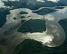 WWF-Brasil comemora dia da Amazônia.
