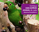 Infelizmente, o que todas as espécies de animais dos sete biomas brasileiros têm em comum é a ameaça à sua sobrevivência