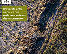 Novo relatório do WWF-Internacional aponta Brasil como um dos países que mais concentram
desmatamento