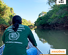 Retrospectiva 2020 - Amazônia