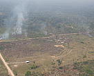 Para WWF-Brasil, somente com a completa aplicação do Código Florestal o desmatamento na Amazônia poderá ser controlado. 