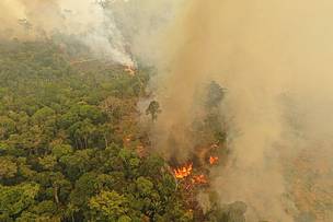 Boa parte das queimadas na Amazônia é consequência do desmatamento resultante da expansão agrícola, grilagem de terras, especulação e produção insustentável de commodities