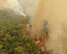 Boa parte das queimadas na Amazônia é consequência do desmatamento resultante da expansão agrícola, grilagem de terras, especulação e produção insustentável de commodities