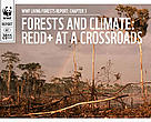 Living Forests Report