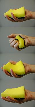 A esponja é um exemplo de resiliência alta: ela tem a capacidade de recuperar sua forma. 
© WWF-Brasil / Gadelha Neto