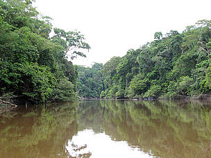Rio Guariba, durante a Expedição Guariba-Roosevelt 2010.