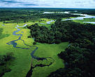 Vista aérea do Rio Negro.