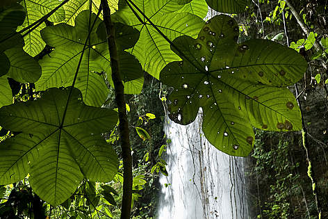 Cachoeira Collares durante a Expedição ao Parque Nacional do Juruena, 2a fase, Mato Grosso, Brasil. rel=