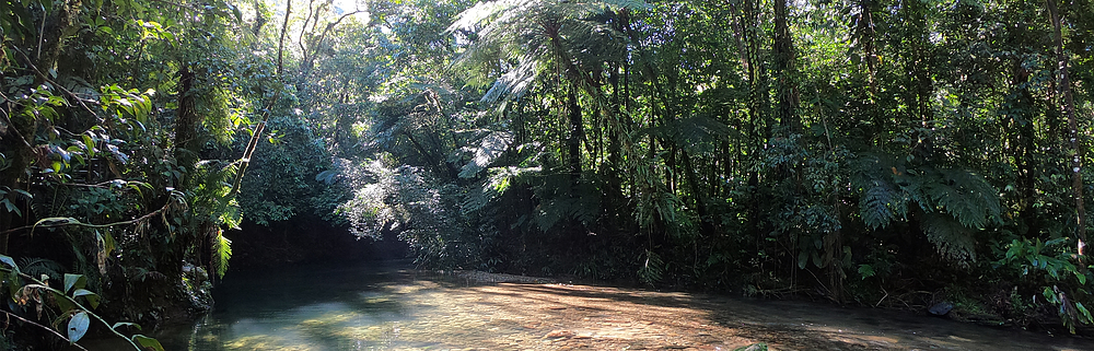 Rppn (Reserva Particular Do Patrimônio Natural) | Wwf Brasil