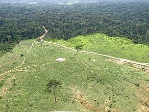 Vista aérea de desmatamento na Amazônia
