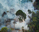 Em 10 anos, o Brasil gastou quase 1 bilhão de reais com doenças respiratórias causadas pela fumaça das queimadas na Amazônia.