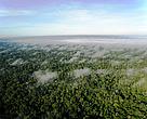 Vista aére de trecho de floresta amazônica no estado do Acre