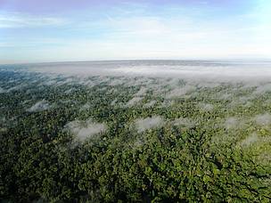 Vista aérea da floresta amazônica no Acre.