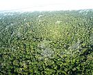 As mudanças no Código Florestal provocariam acréscimo nas emissões brasileiras