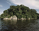 Parque Nacional Superagüi. Área protegida de Mata Atlântica no Paraná que integra o Sítio do Patrimônio Mundial Natural Reservas do Sudeste