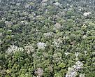 No Bioma Amazônia, a reserva legal corresponde a 80% da propriedade.