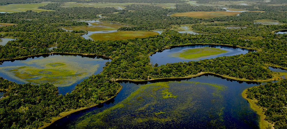 Pelos Biomas Brasileiros Wwf Brasil 5297