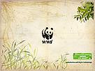 Papel de parede - quiz Mata Atlântica em Jogo - versão C - 1024x768 
© WWF-Brasil
