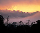 Pôr-do-sol na floresta amazônica, Guiana Francesa.