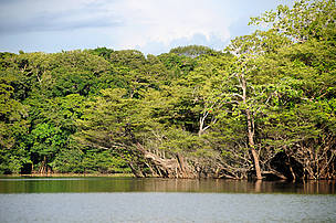 Lago na comunidade Xixuaú, durante a Expedição Mariuá-Jauaperi, na fronteira dos estados do Amazonas e Roraima.