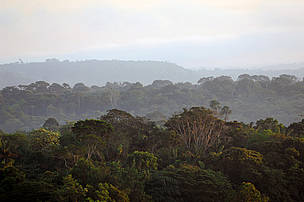 Vista da floresta Amazônica durante a Expedição Aracá Expedition, Amazonas, Brasil.