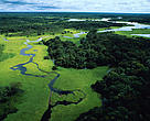 Vista aérea da floresta alagada durante a estação chuvosa, Reserva Florestal do Rio Negro, Amazonas.