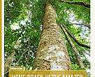 WWF-Brazil in the Amazon