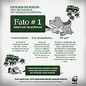 Entenda os riscos das mudanças no Código Florestal. Fato 1. 
© WWF-Brasil/Nelson Cordeiro