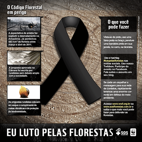 Infográfico "Eu luto pelas florestas". rel=